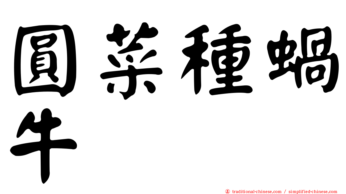 圓菜種蝸牛
