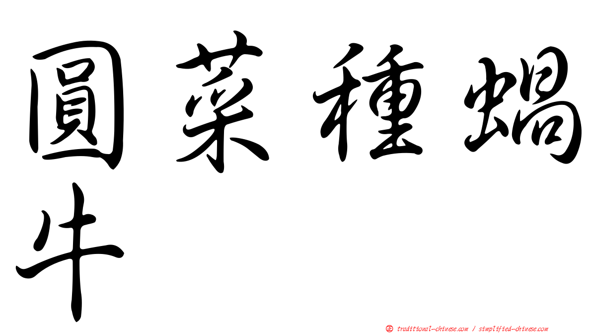 圓菜種蝸牛