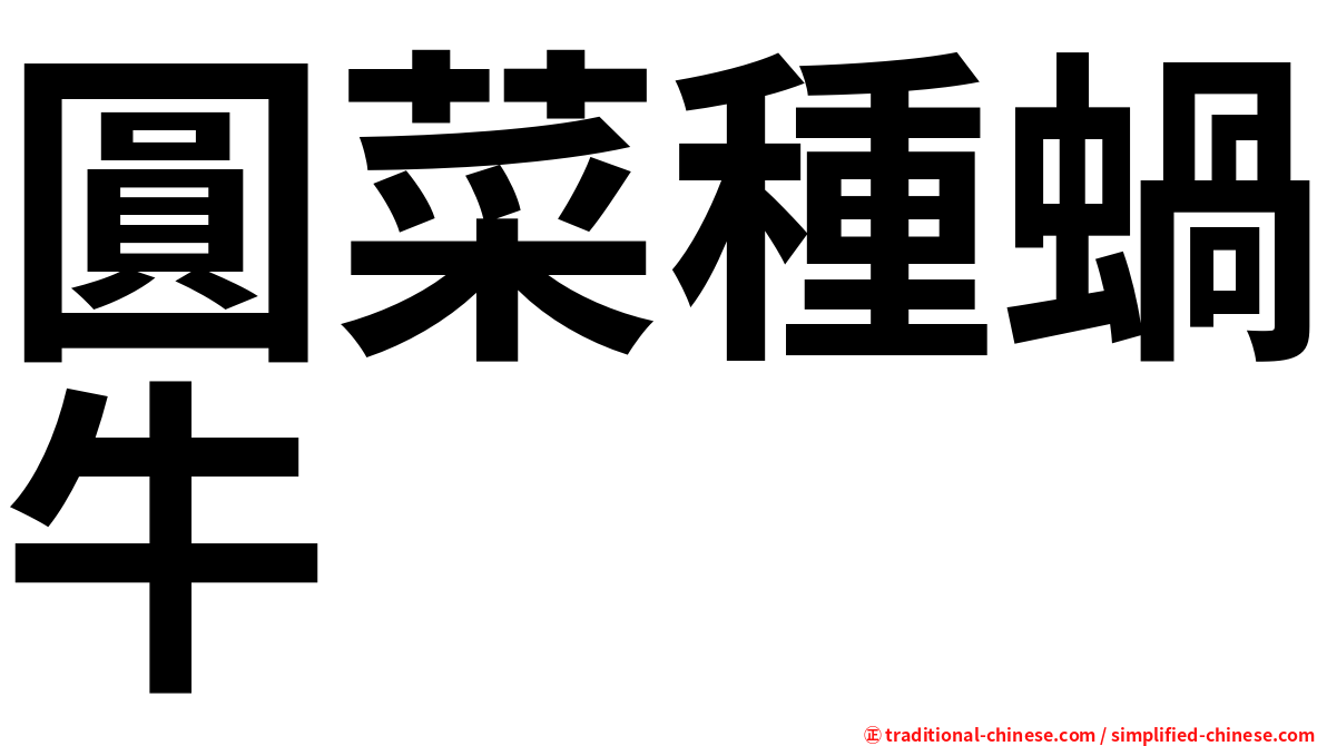 圓菜種蝸牛
