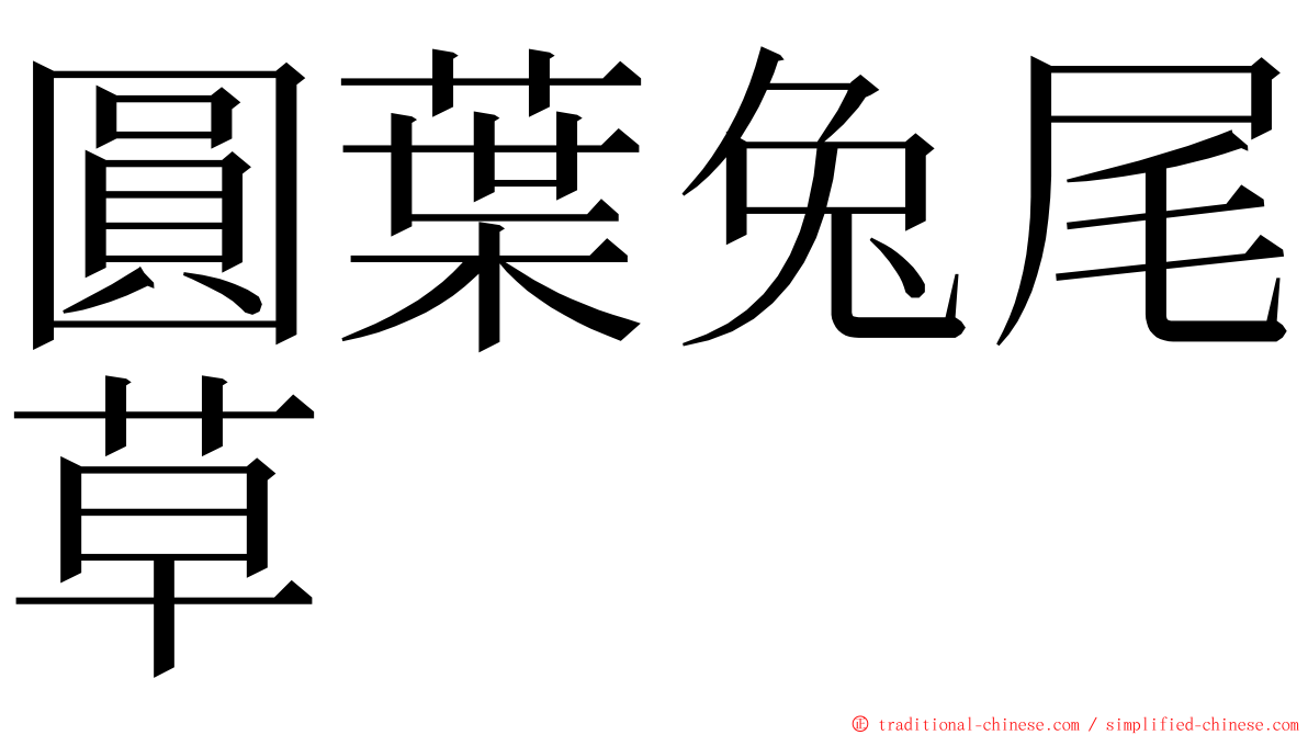 圓葉兔尾草 ming font