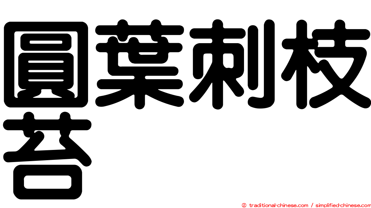 圓葉刺枝苔