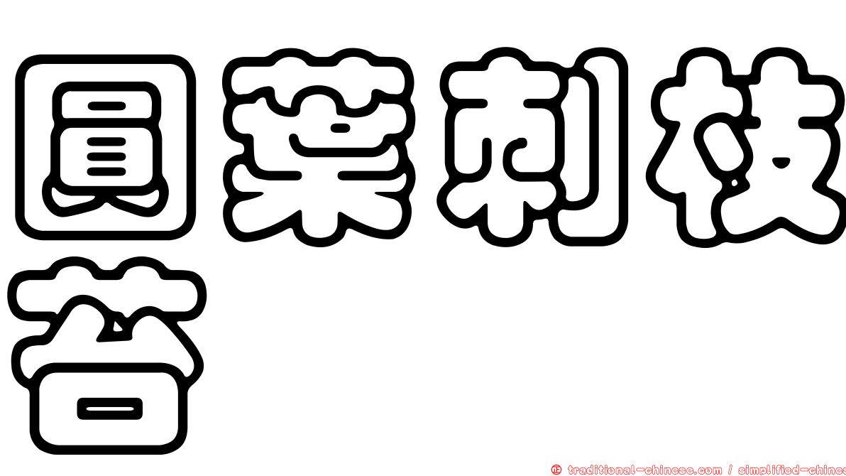 圓葉刺枝苔