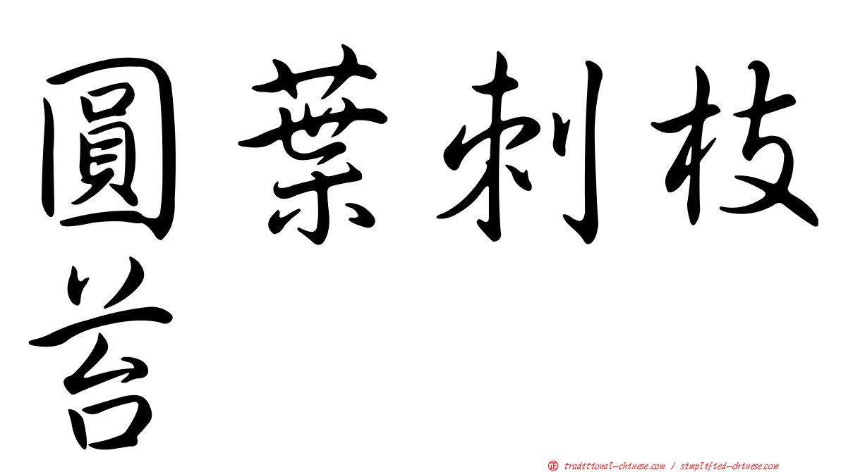 圓葉刺枝苔