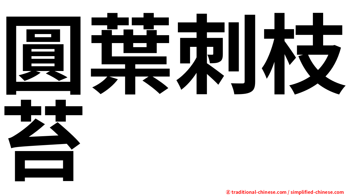 圓葉刺枝苔