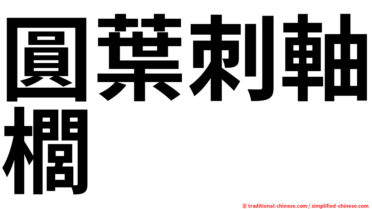 圓葉刺軸櫚