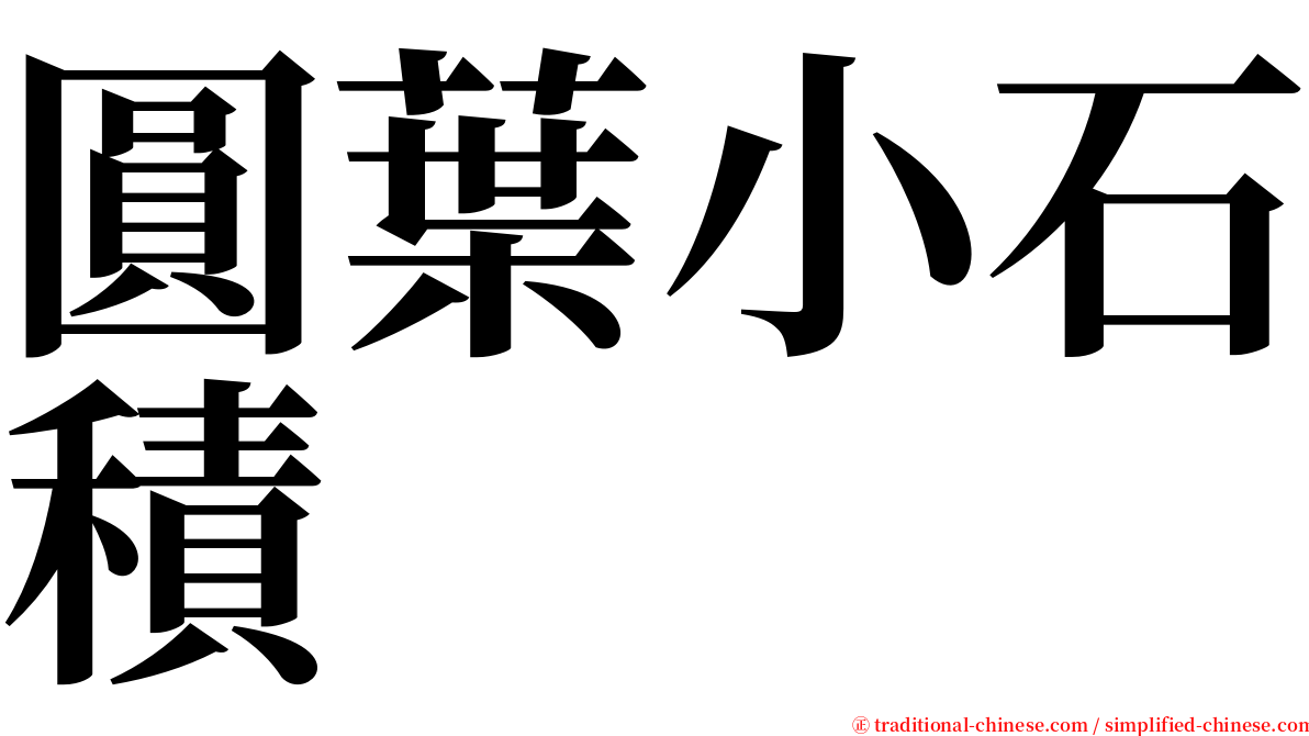 圓葉小石積 serif font