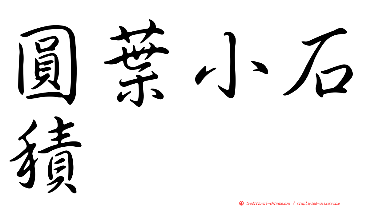 圓葉小石積