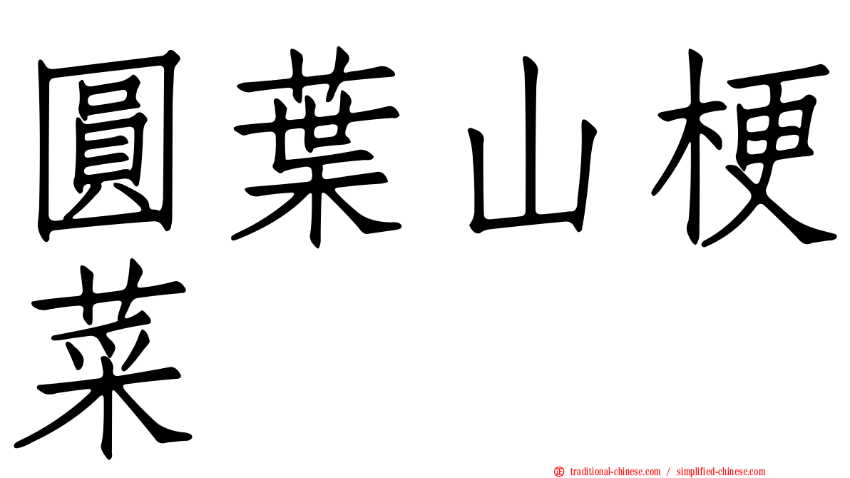 圓葉山梗菜