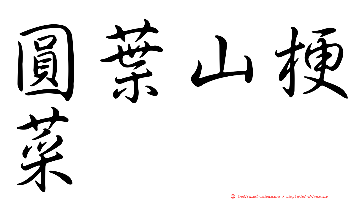 圓葉山梗菜