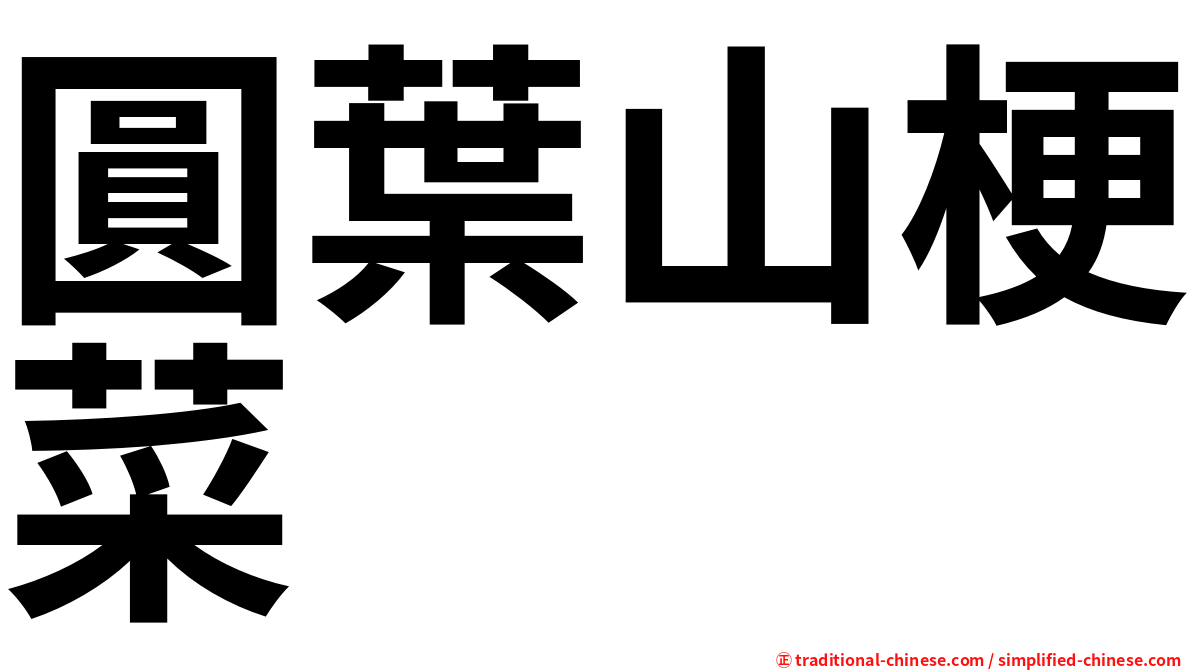 圓葉山梗菜