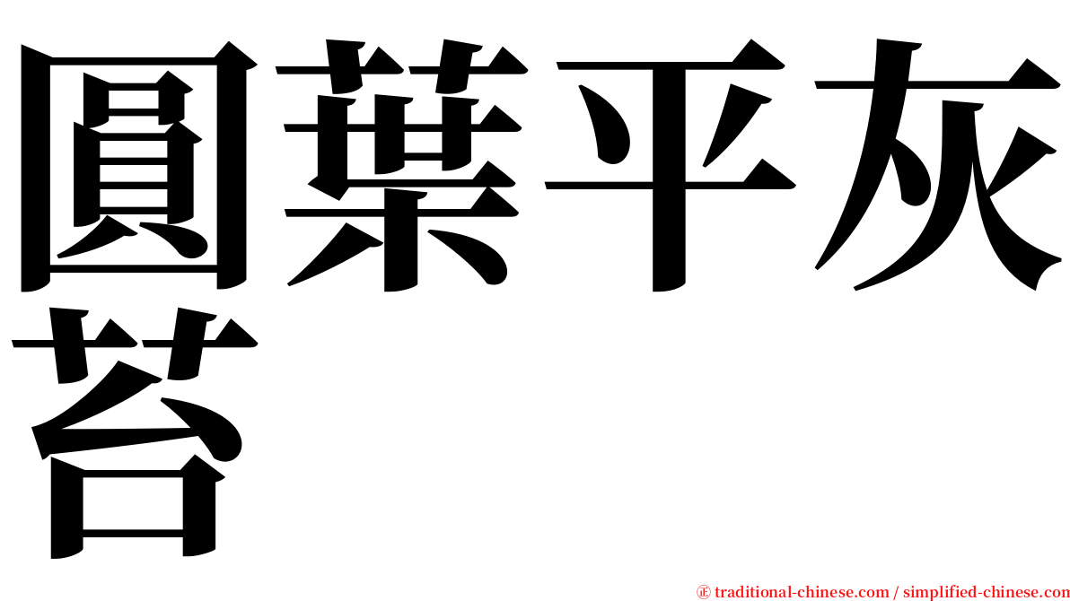 圓葉平灰苔 serif font
