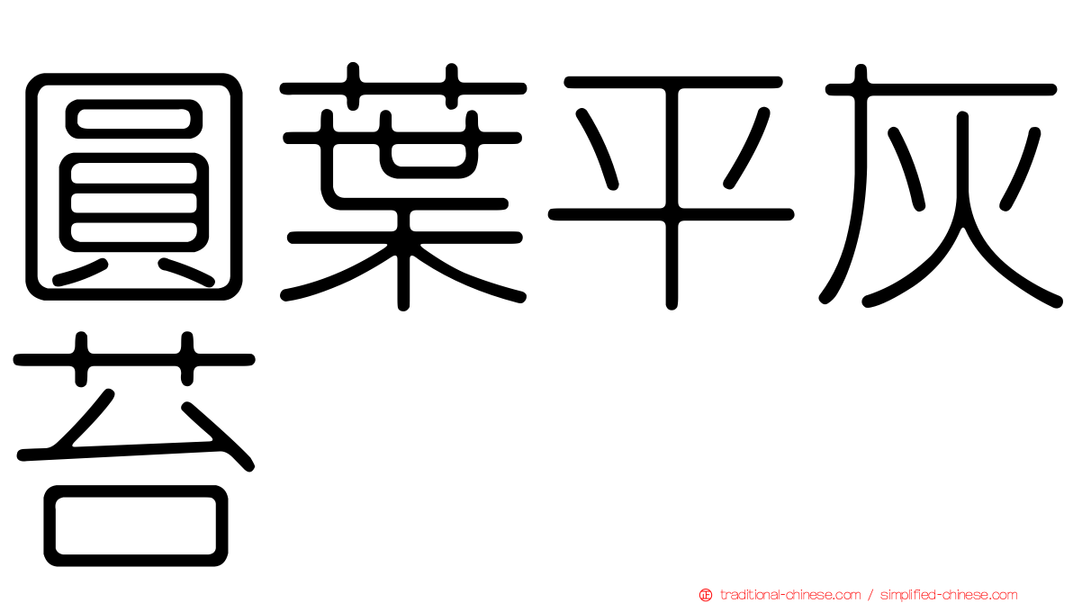 圓葉平灰苔