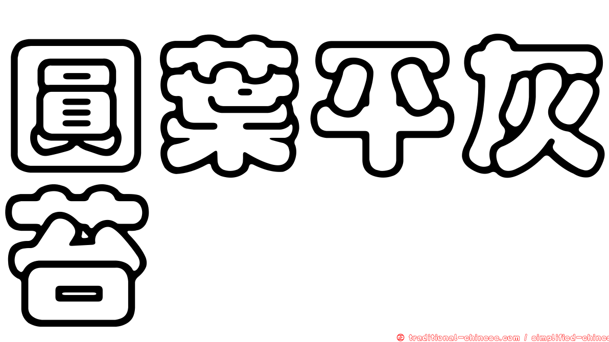 圓葉平灰苔