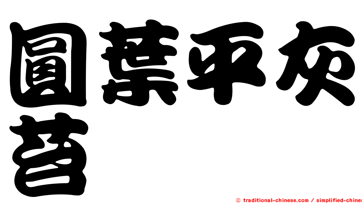 圓葉平灰苔