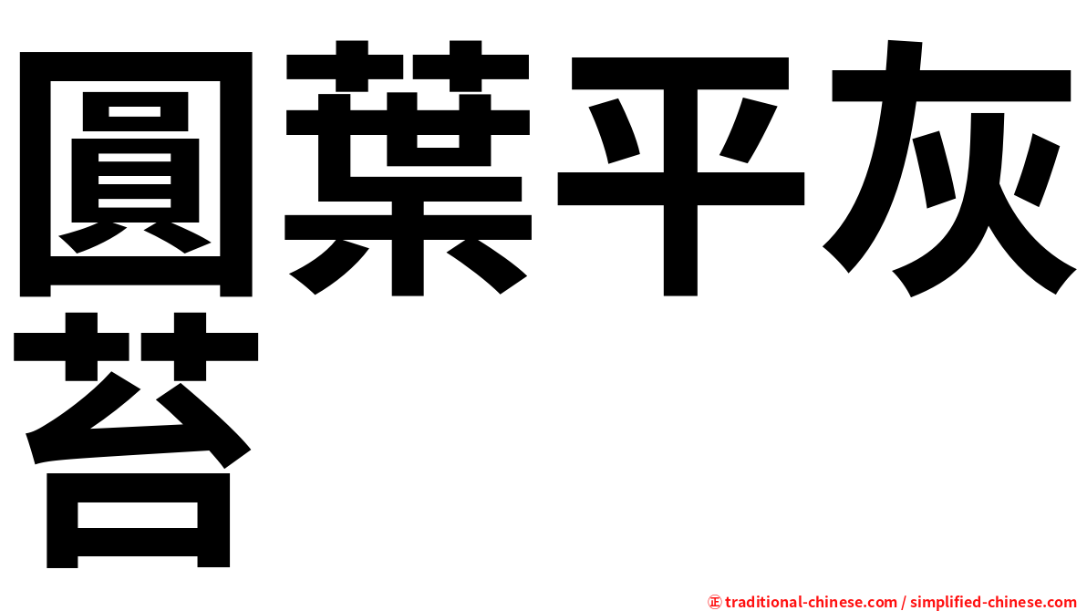 圓葉平灰苔