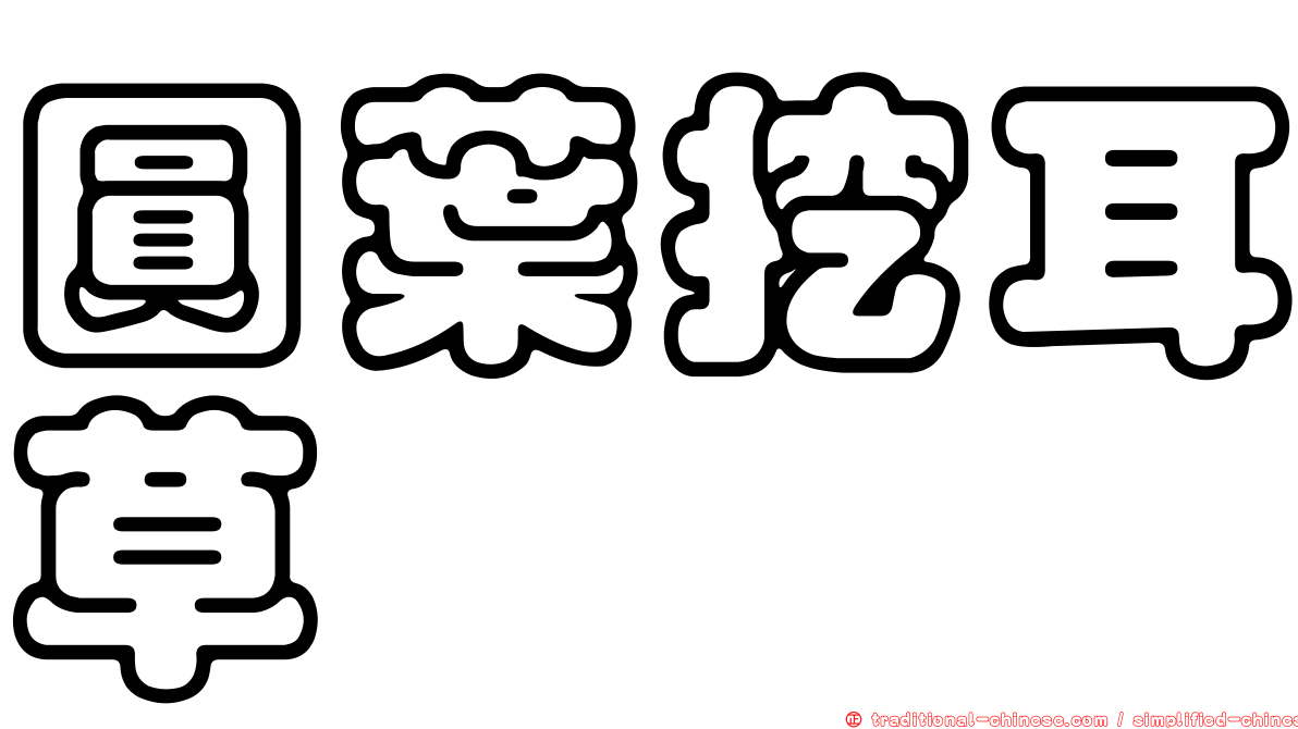 圓葉挖耳草