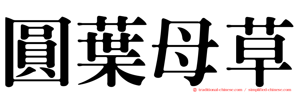 圓葉母草
