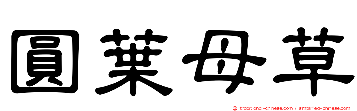 圓葉母草
