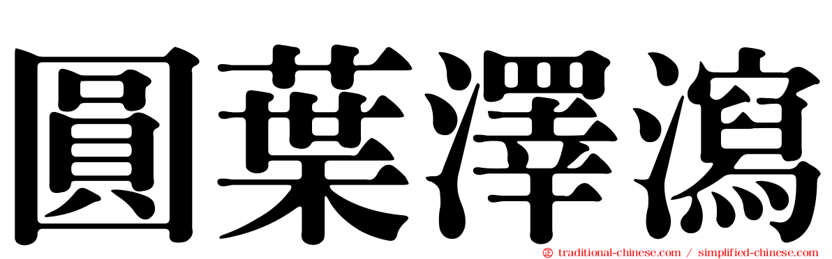 圓葉澤瀉