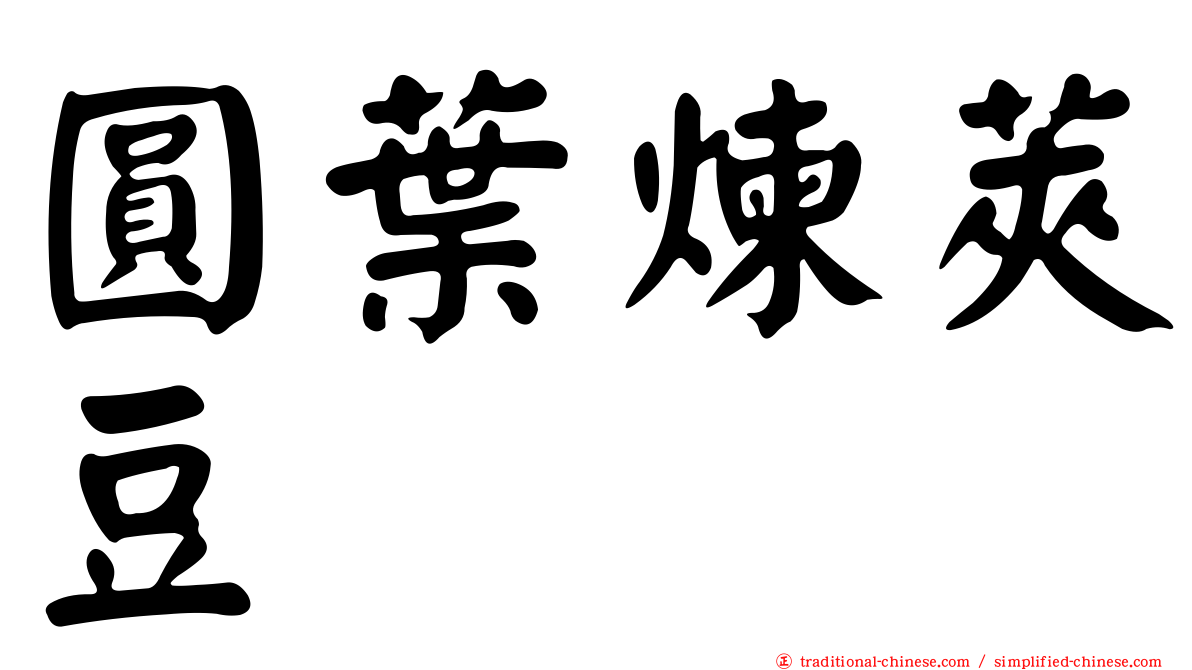 圓葉煉莢豆