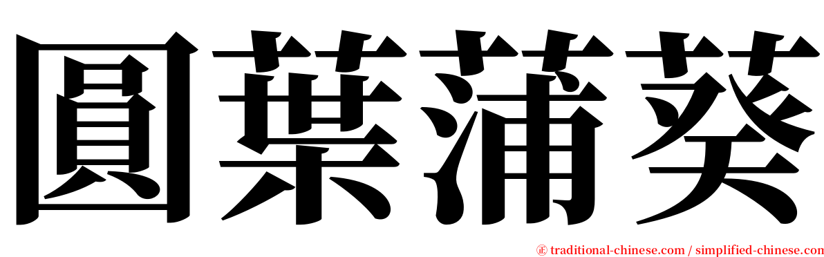圓葉蒲葵 serif font