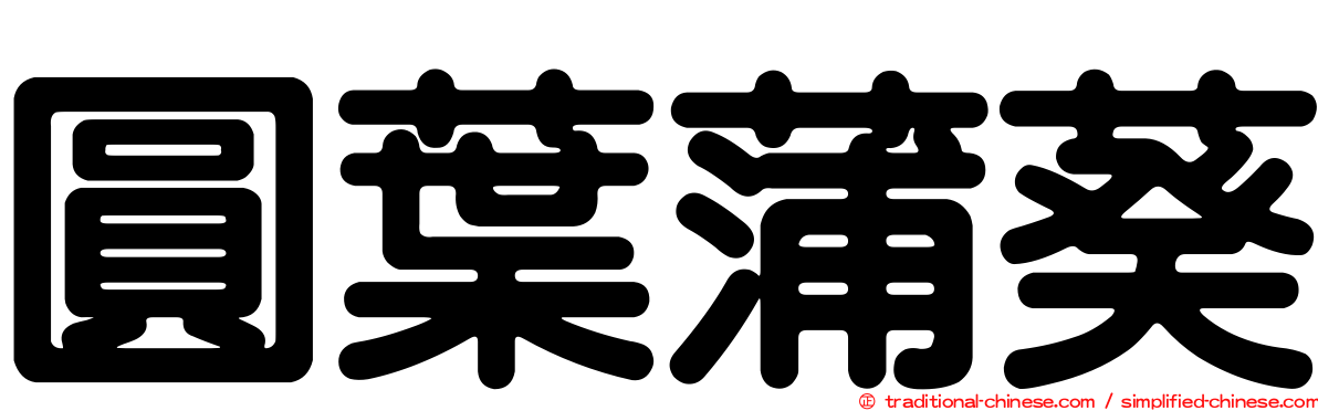 圓葉蒲葵