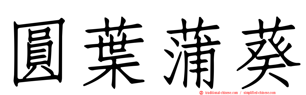 圓葉蒲葵