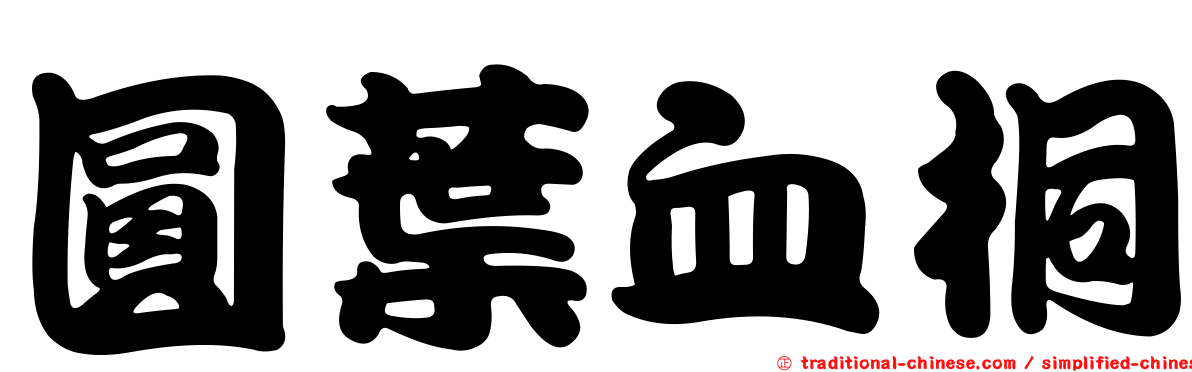 圓葉血桐