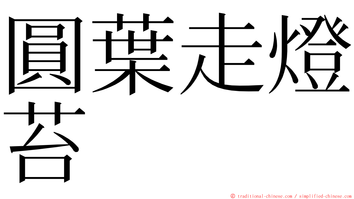 圓葉走燈苔 ming font