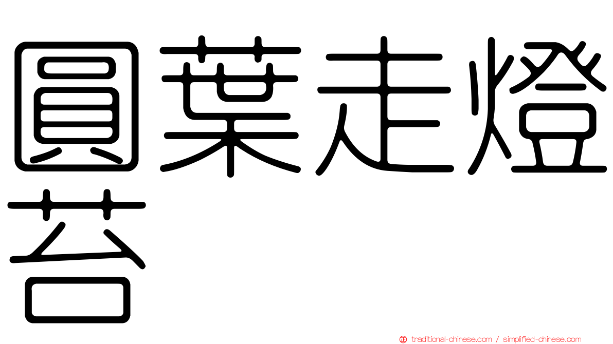 圓葉走燈苔