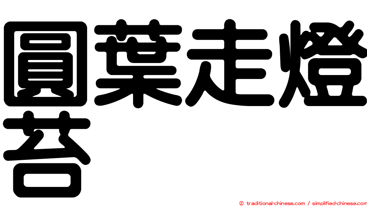 圓葉走燈苔