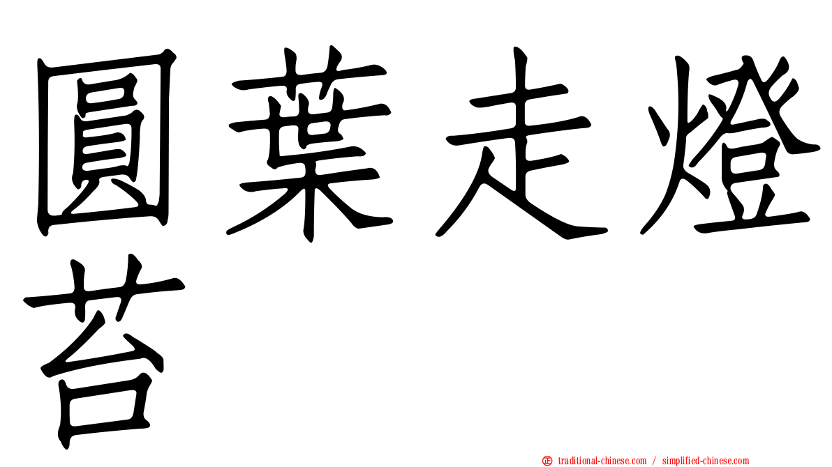 圓葉走燈苔