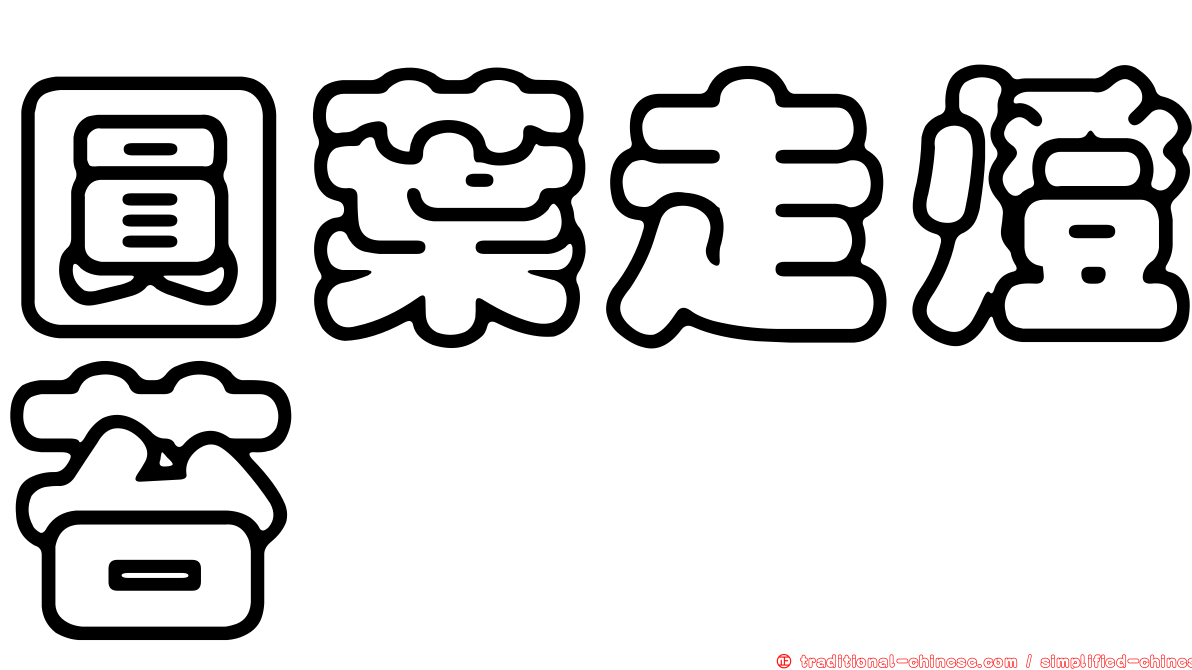 圓葉走燈苔