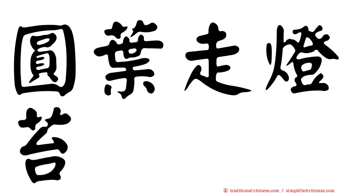 圓葉走燈苔