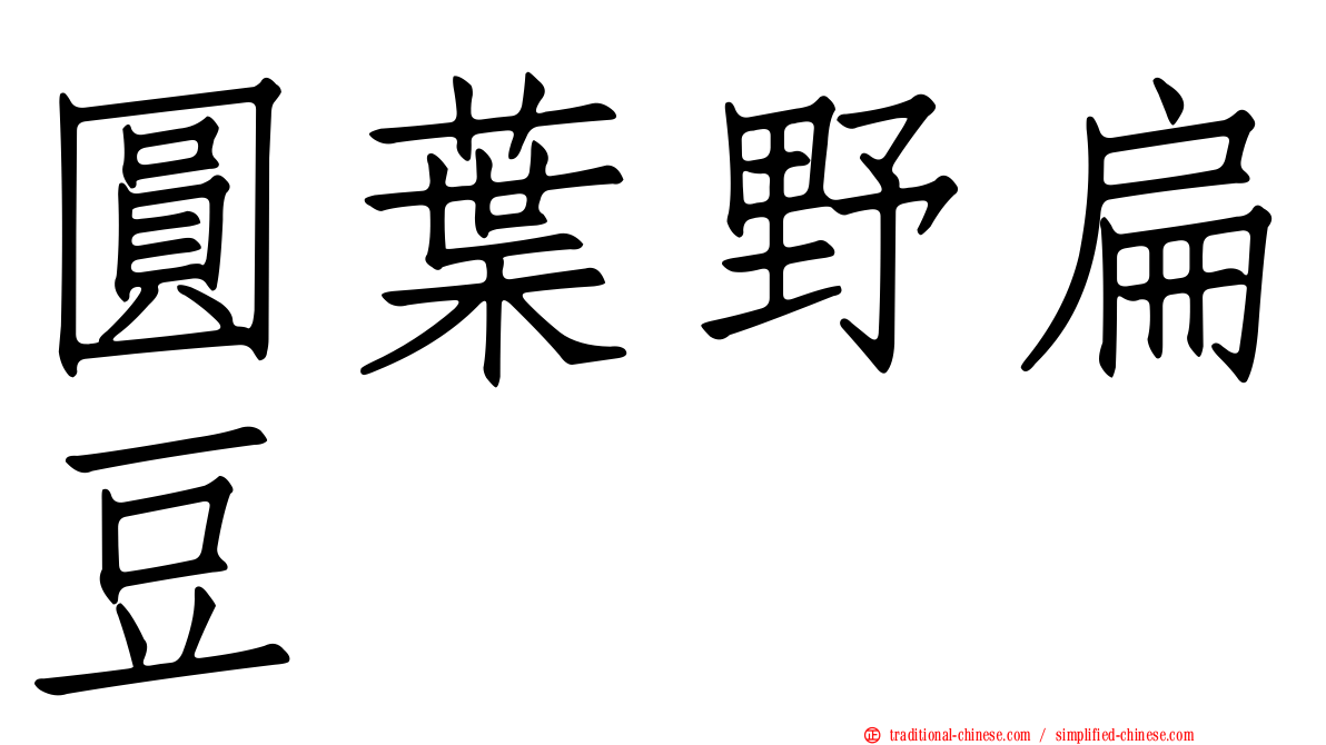 圓葉野扁豆