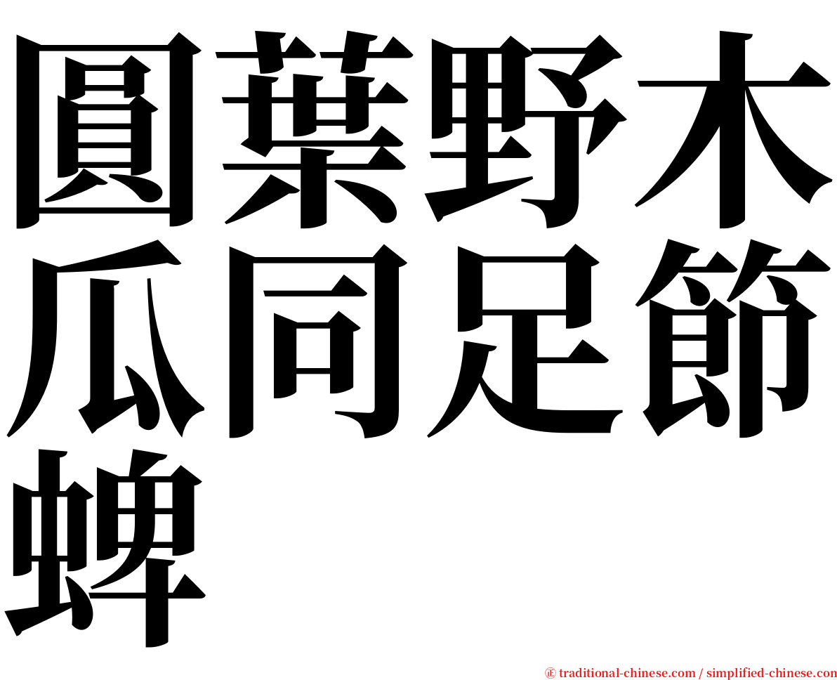 圓葉野木瓜同足節蜱 serif font