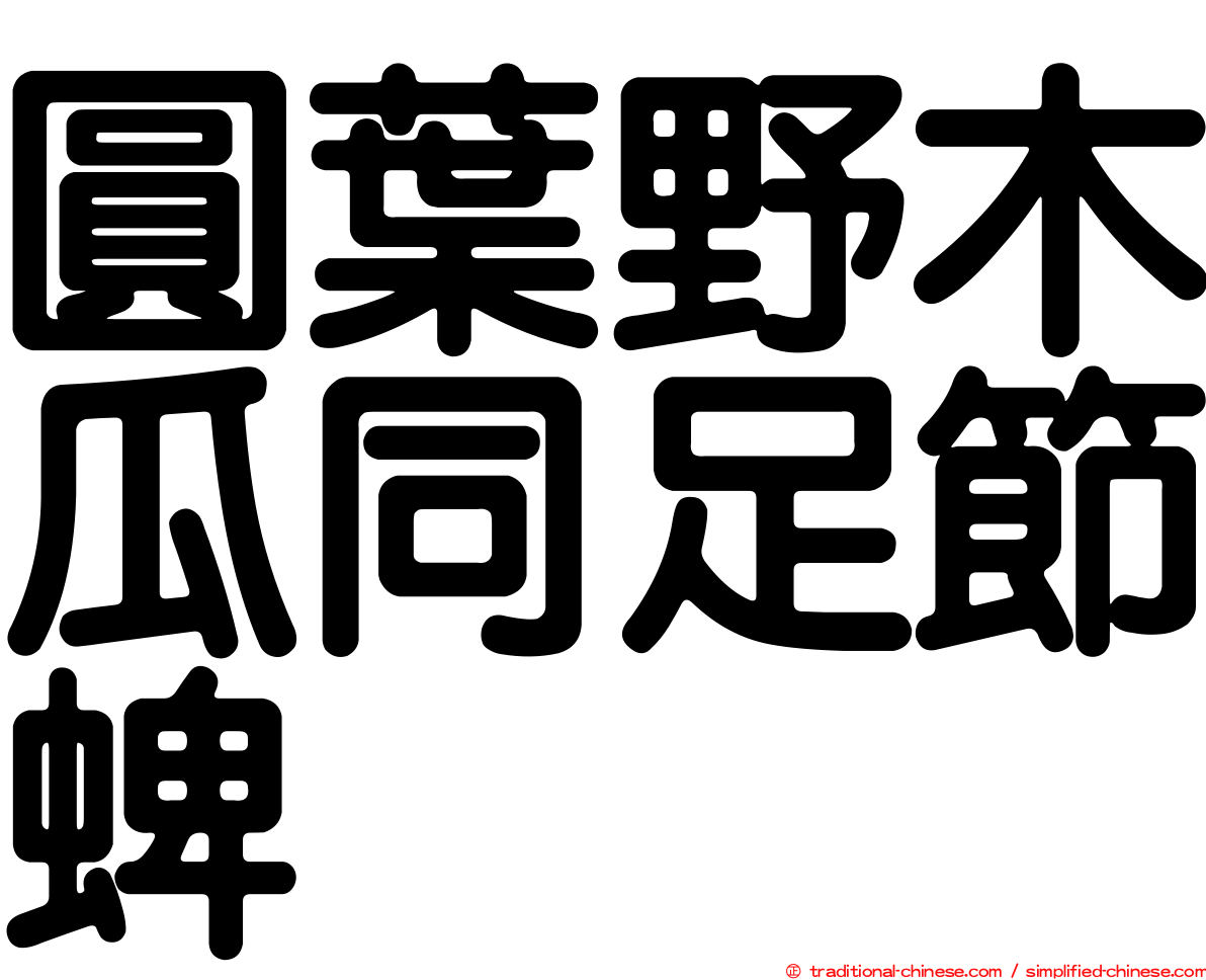 圓葉野木瓜同足節蜱