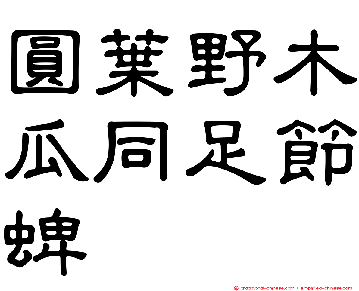 圓葉野木瓜同足節蜱