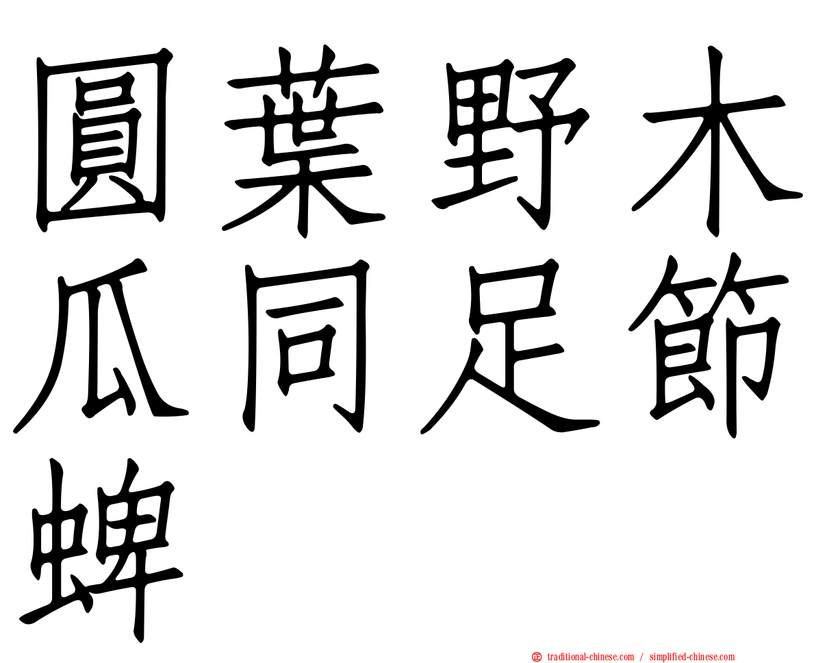 圓葉野木瓜同足節蜱