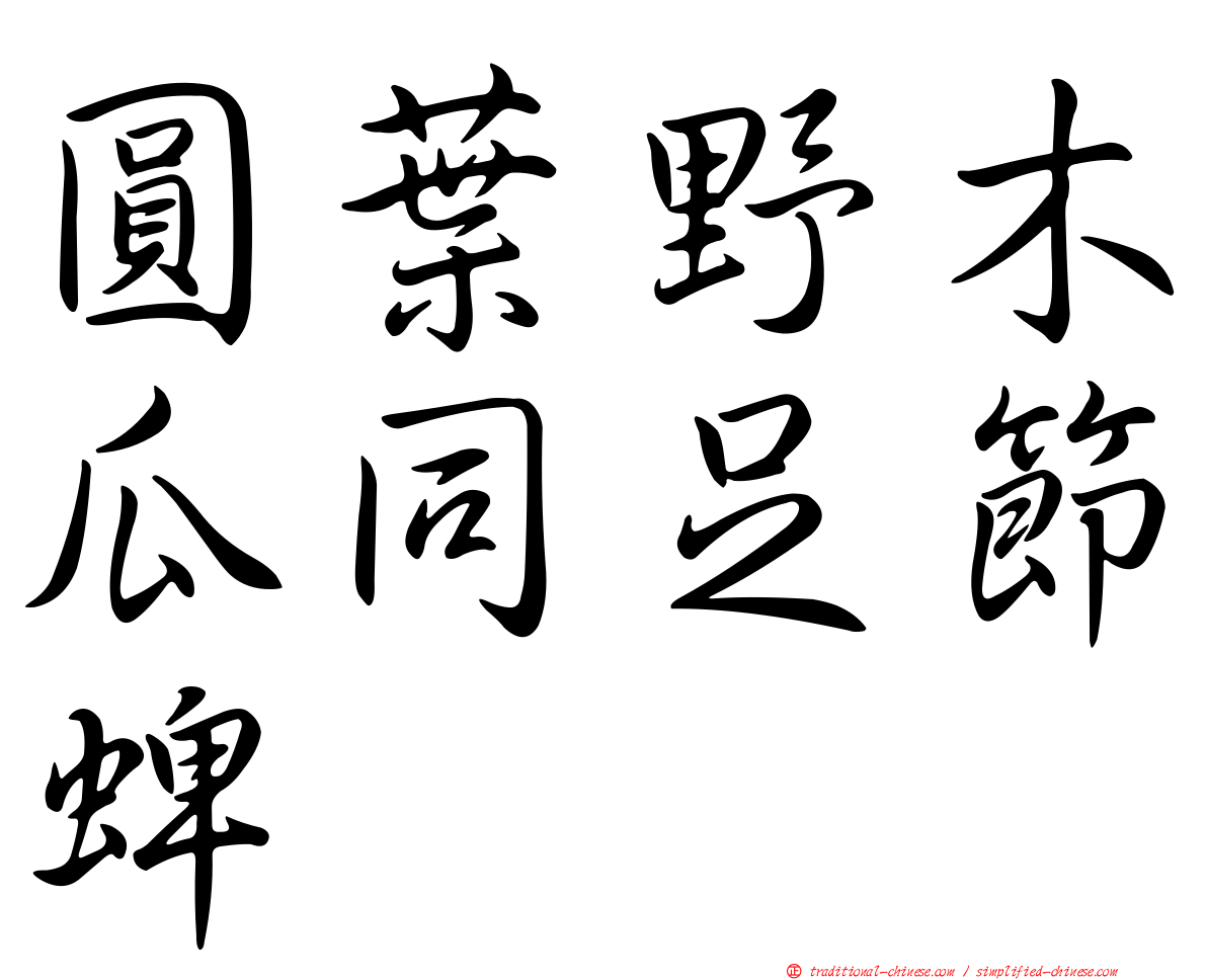 圓葉野木瓜同足節蜱