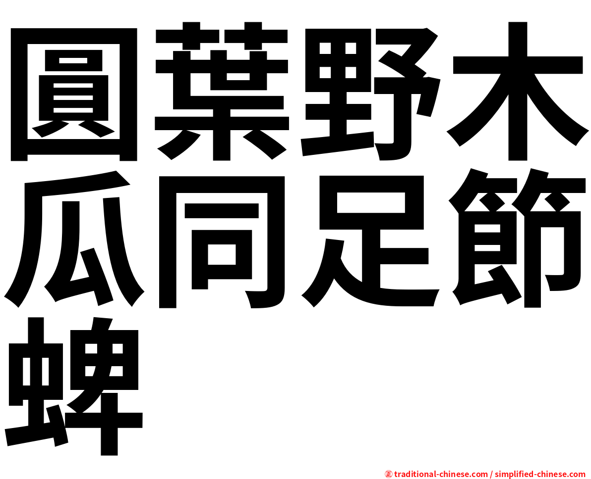 圓葉野木瓜同足節蜱