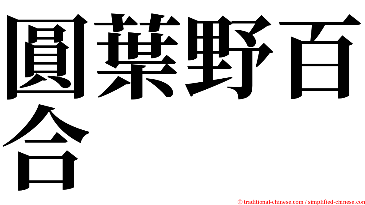 圓葉野百合 serif font