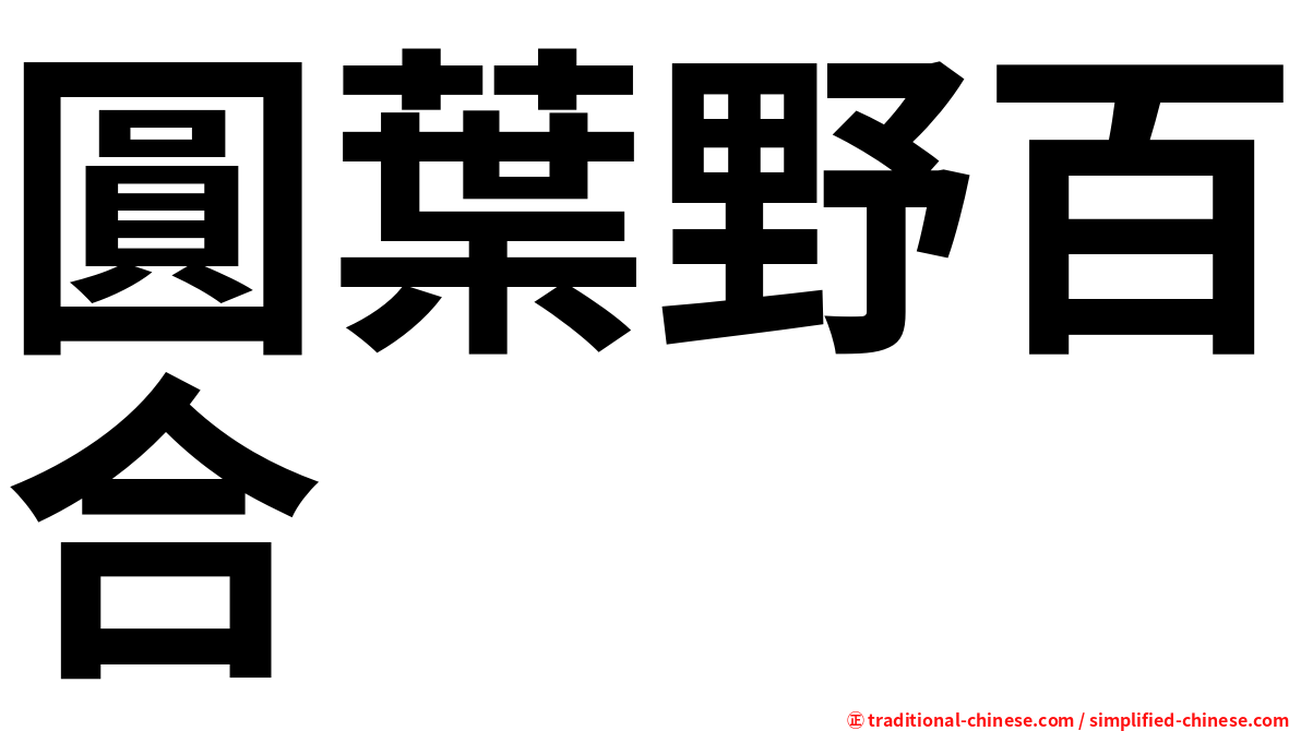 圓葉野百合