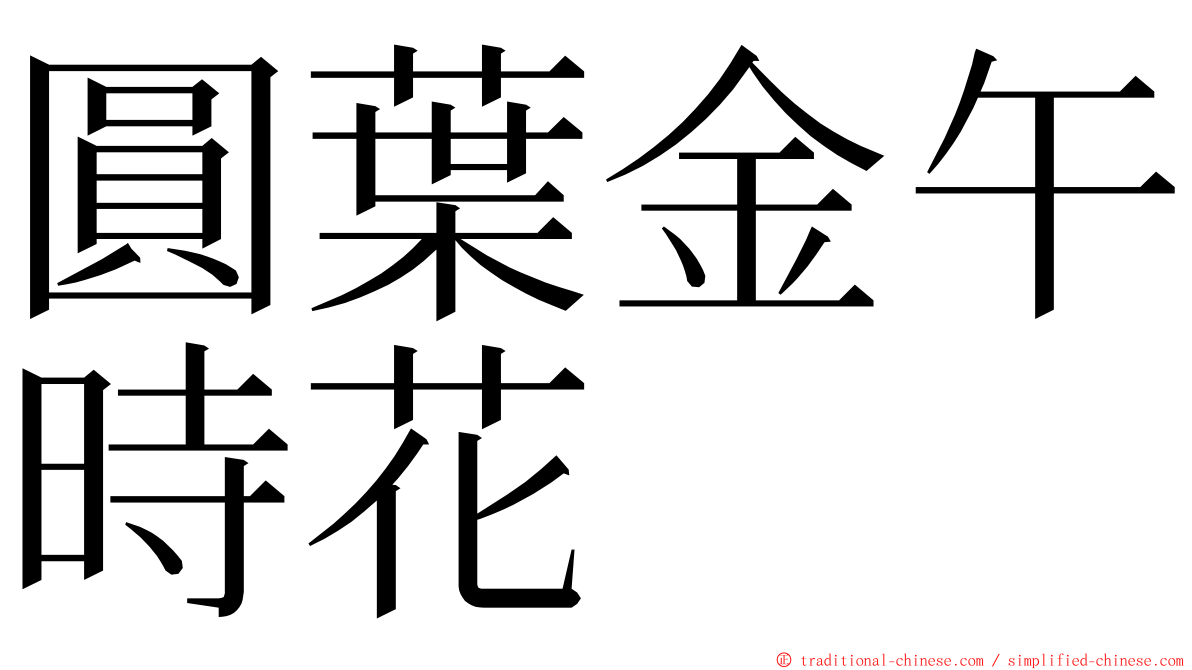 圓葉金午時花 ming font