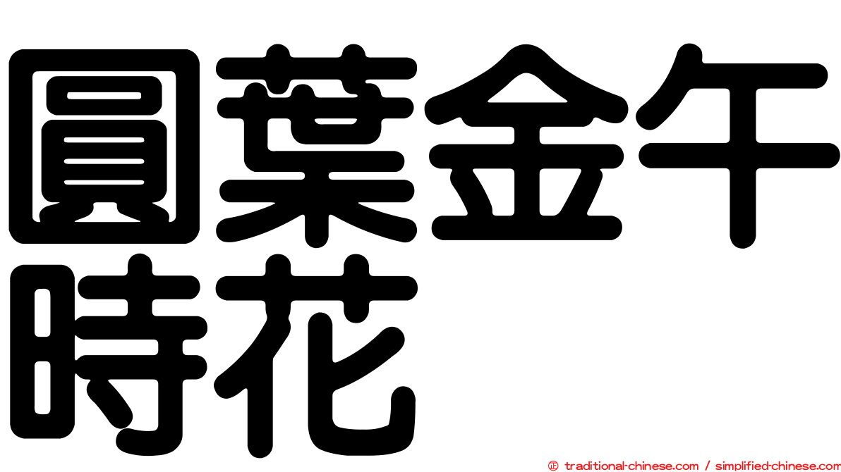 圓葉金午時花