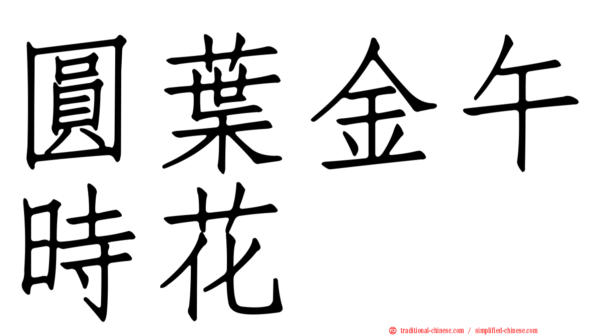 圓葉金午時花