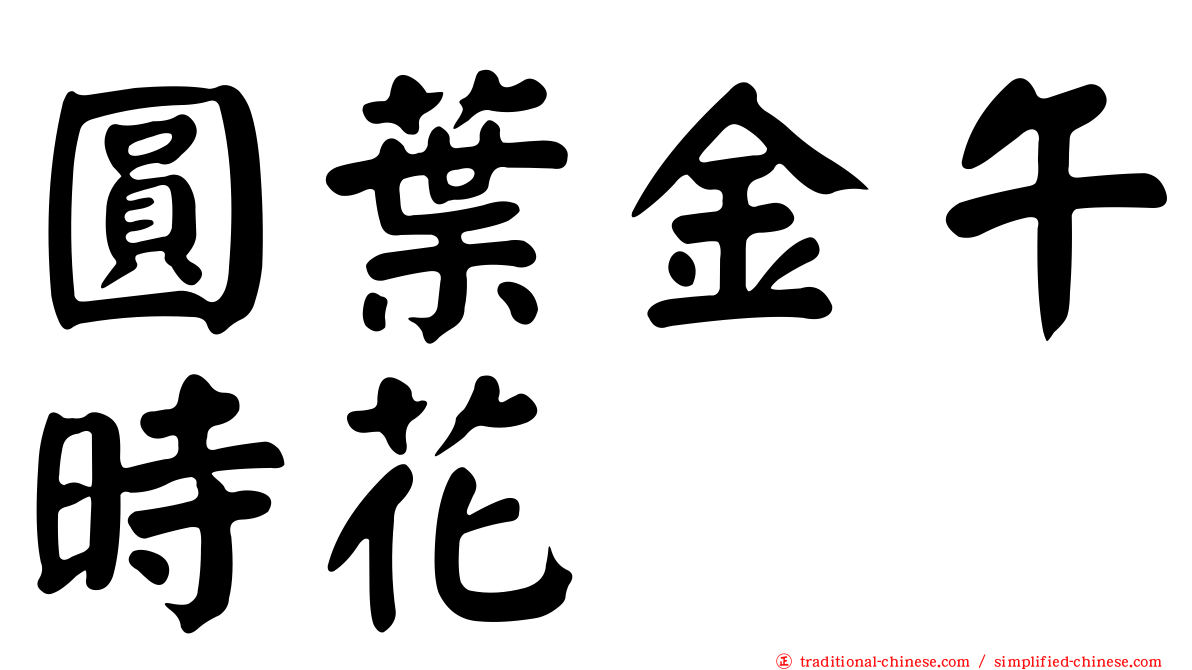 圓葉金午時花