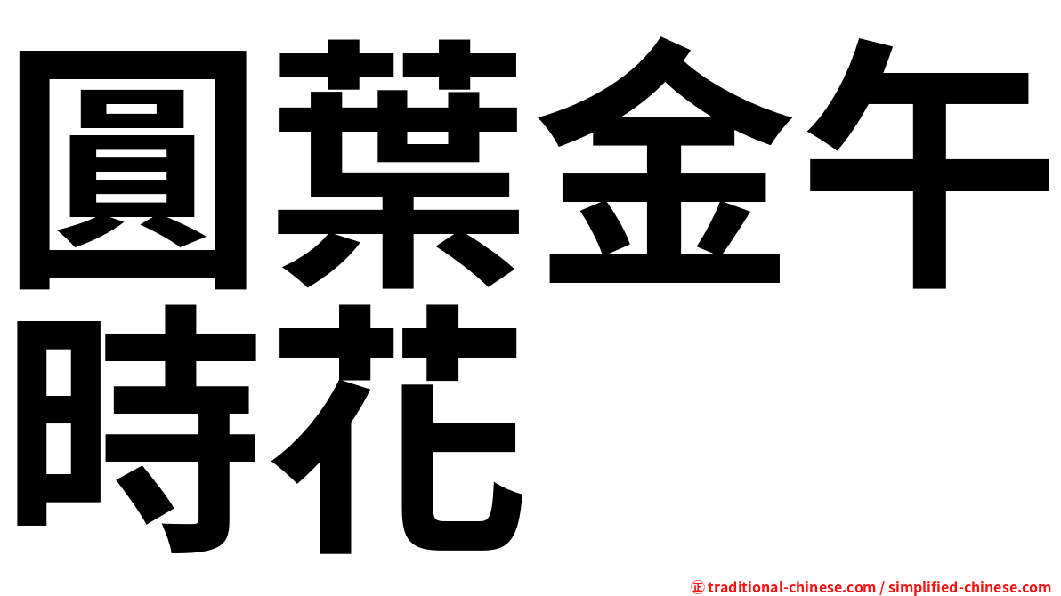 圓葉金午時花