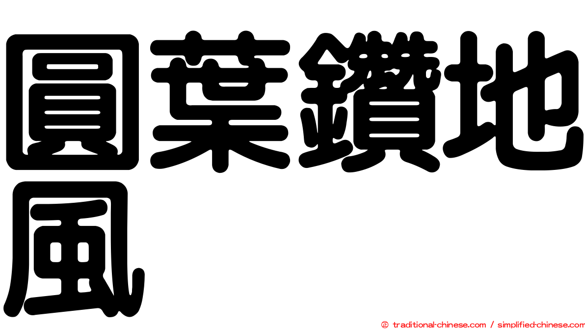 圓葉鑽地風
