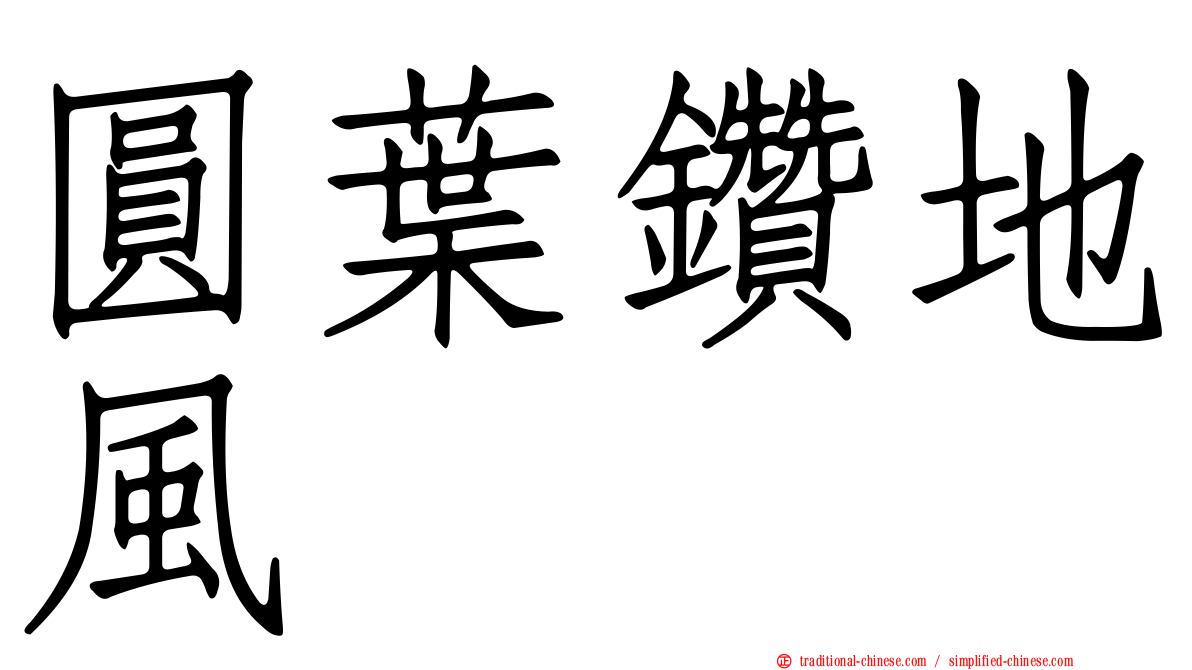 圓葉鑽地風